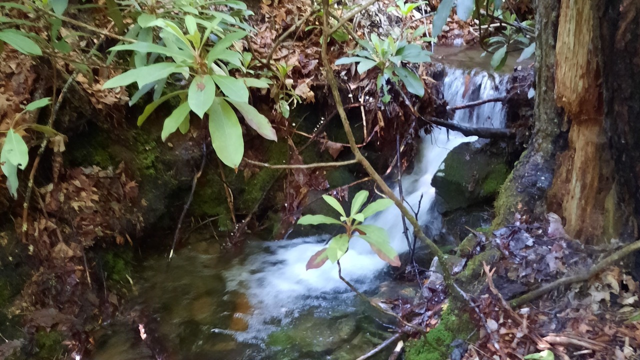 Photo of Outdoor in Butler