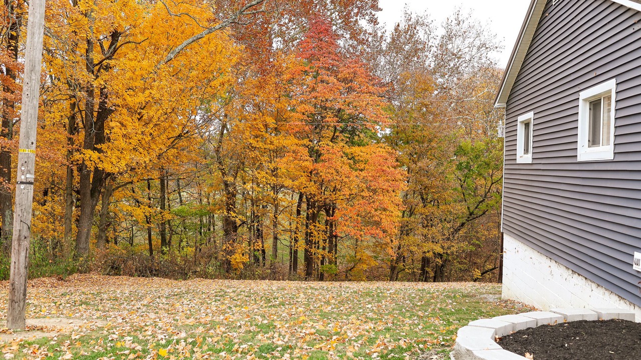 Photo of Outdoor in Dry Ridge