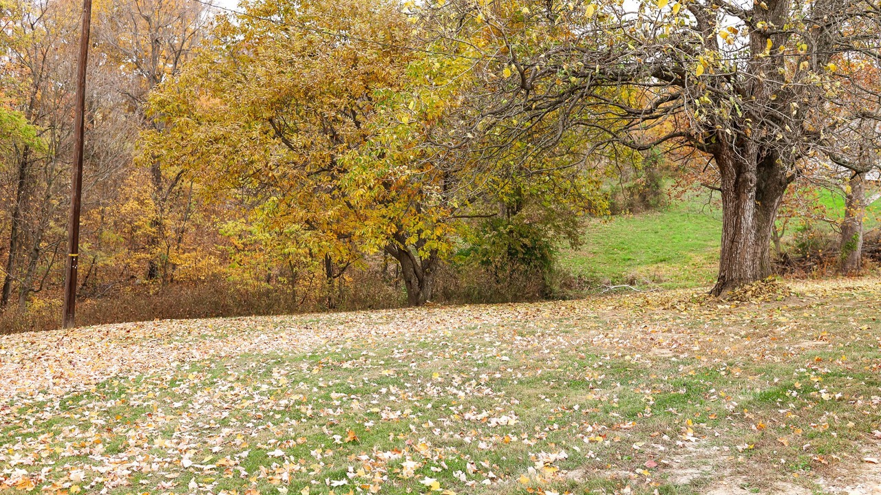 Photo of Outdoor in Dry Ridge