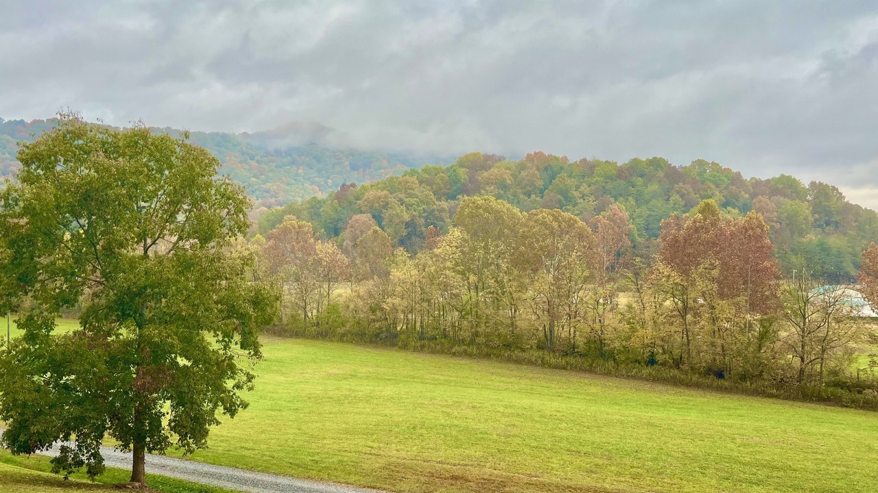 Photo of Outdoor in Rogersville