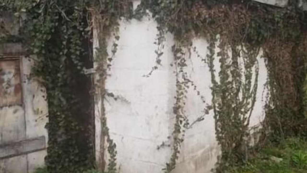 Photo of Outdoor in Stanton