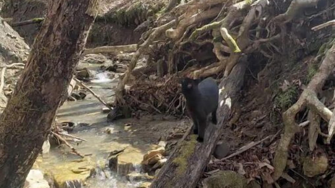Photo of Others in Stanton