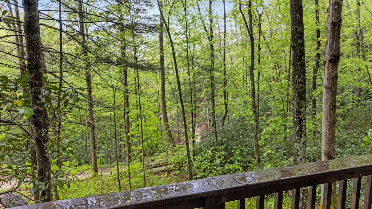 Photo of Outdoor in Pine Ridge