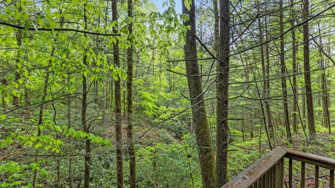 Photo of Outdoor in Pine Ridge