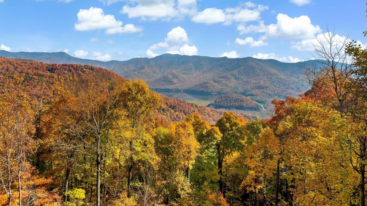 Photo of Outdoor in Laurel Ridge