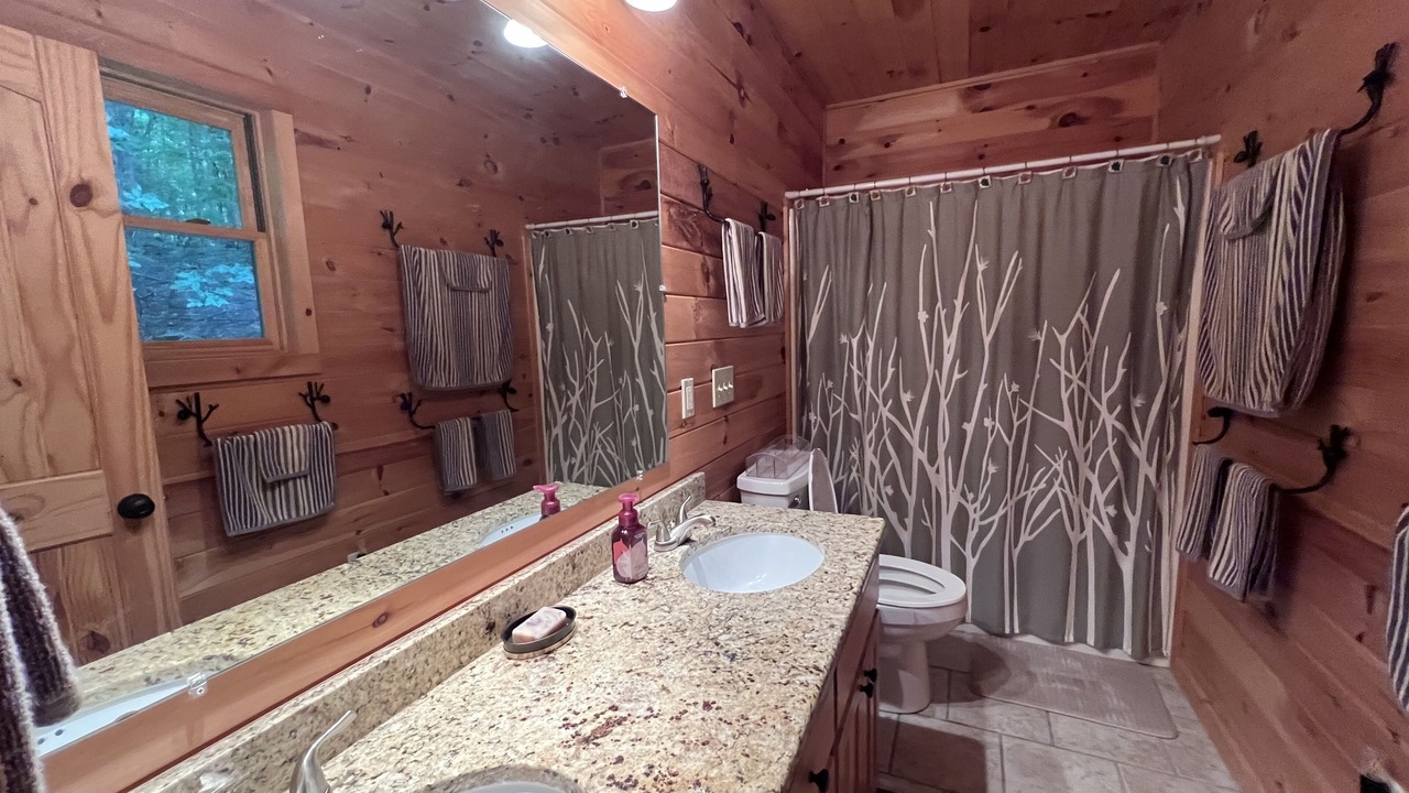 Photo of Bathroom in Lansing