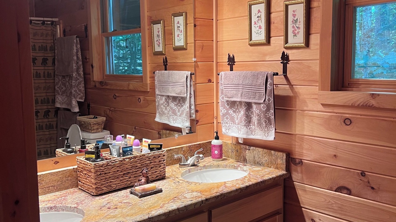 Photo of Bathroom in Lansing