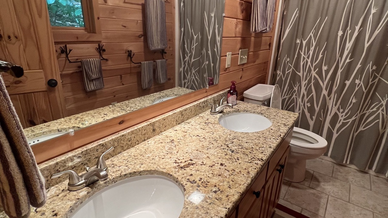 Photo of Bathroom in Lansing