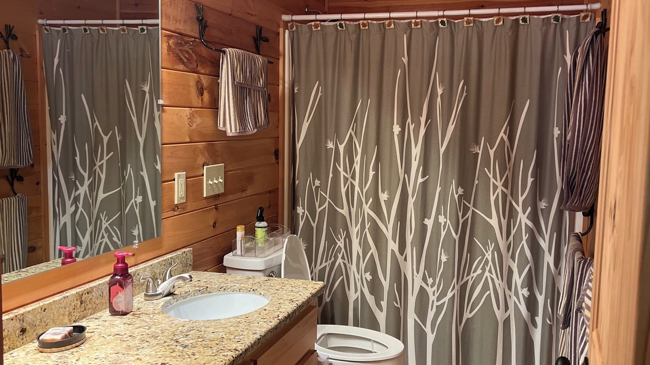 Photo of Bathroom in Lansing
