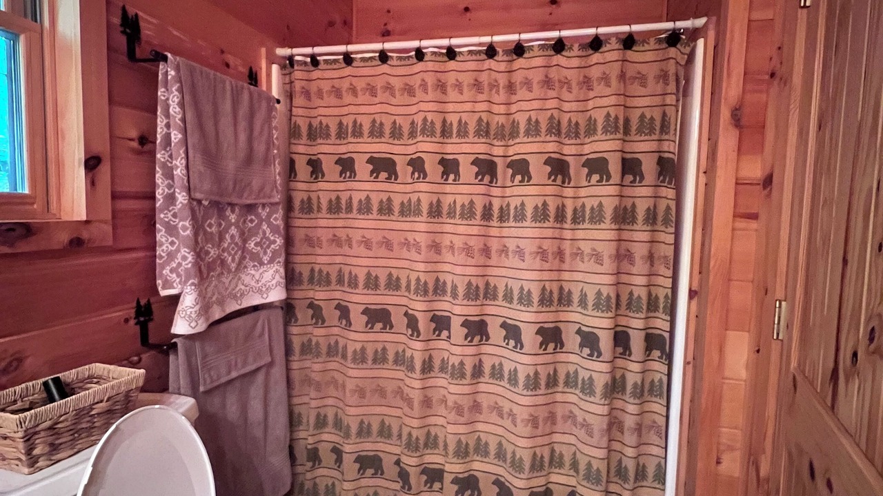 Photo of Bathroom in Lansing