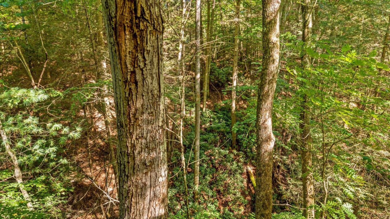 Photo of Others in Rogers