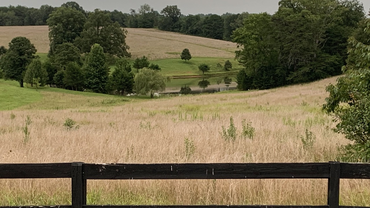 Photo of Outdoor in Mill Spring
