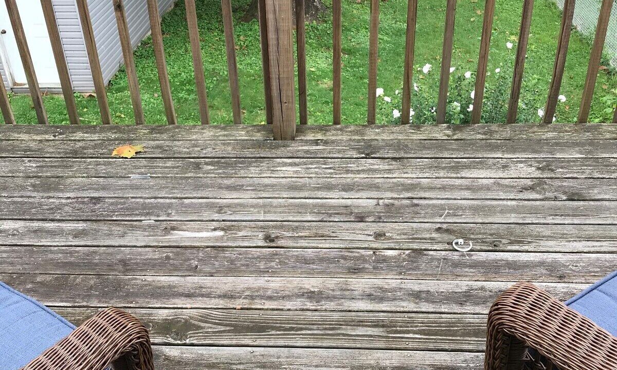 Photo of Outdoor in Charleston