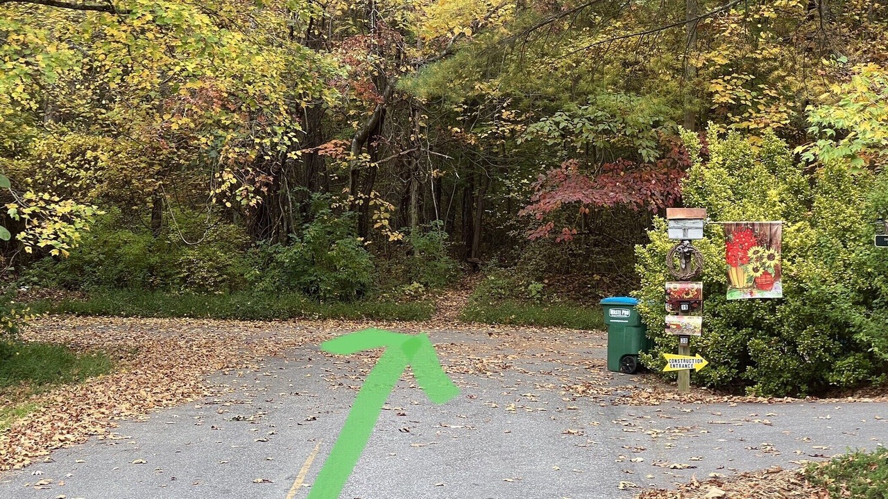 Photo of Others in Asheville