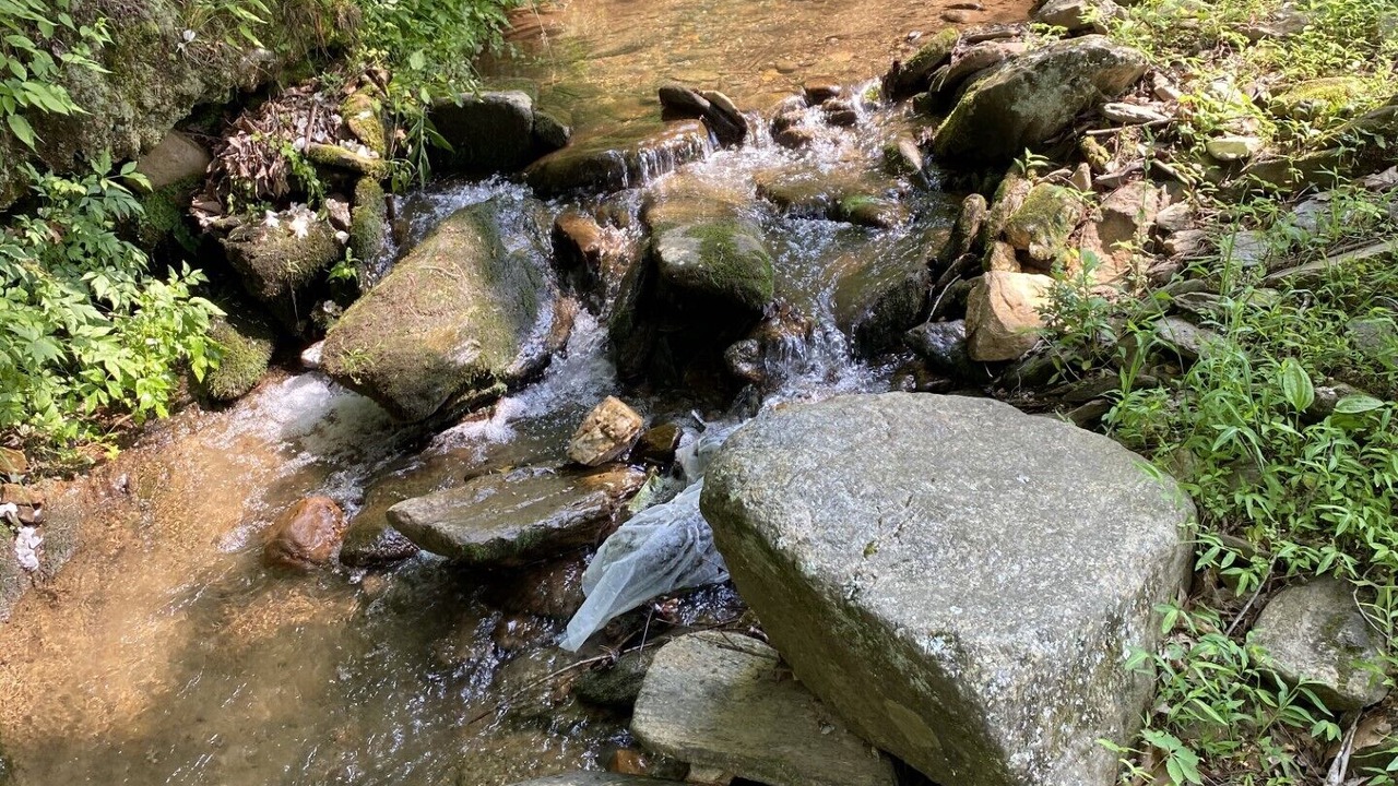 Photo of Others in Black Mountain