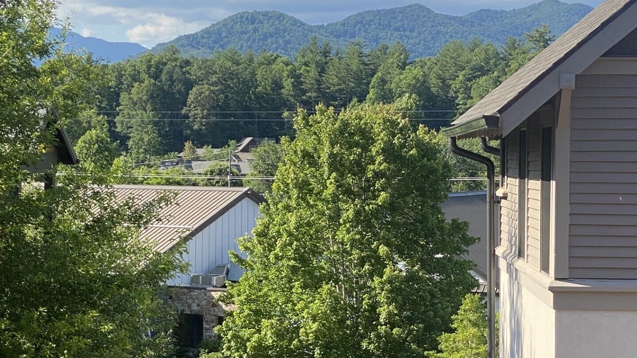 Photo of Others in Black Mountain