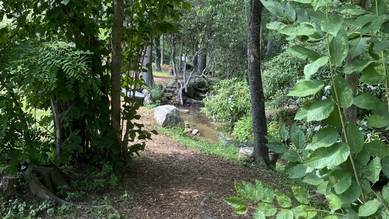 Photo of Outdoor in Black Mountain