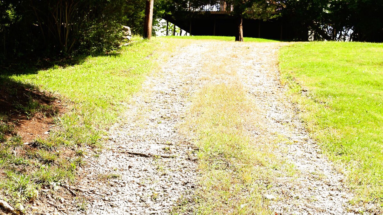 Photo of Outdoor in Williamstown
