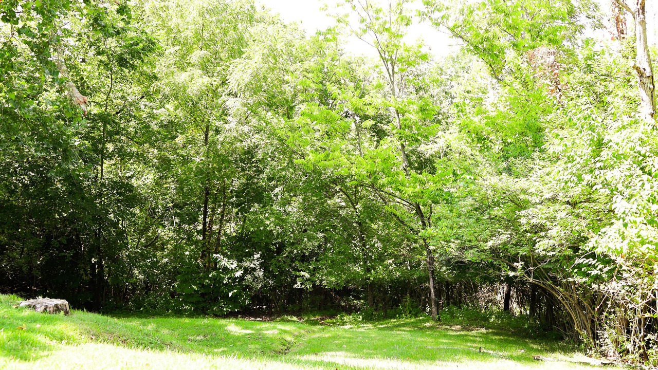 Photo of Outdoor in Williamstown
