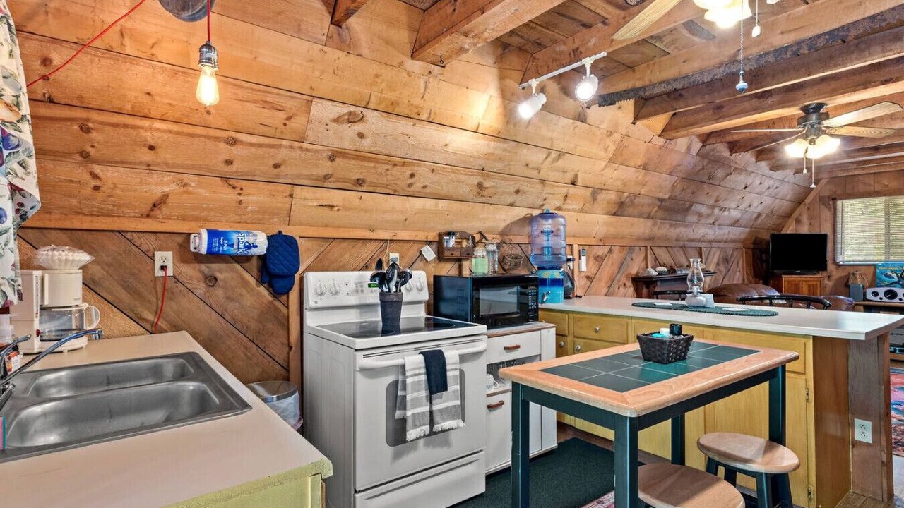 Photo of Kitchen in Wellington