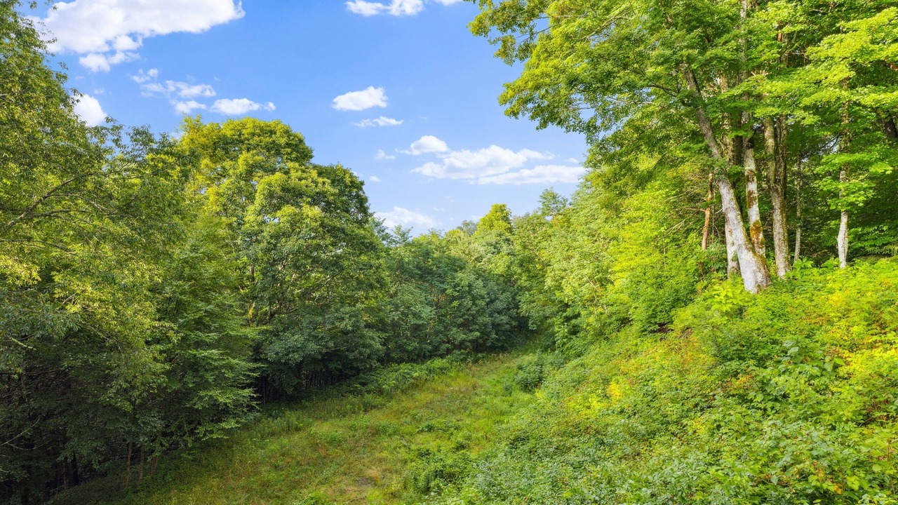 Photo of Outdoor in Banner Elk
