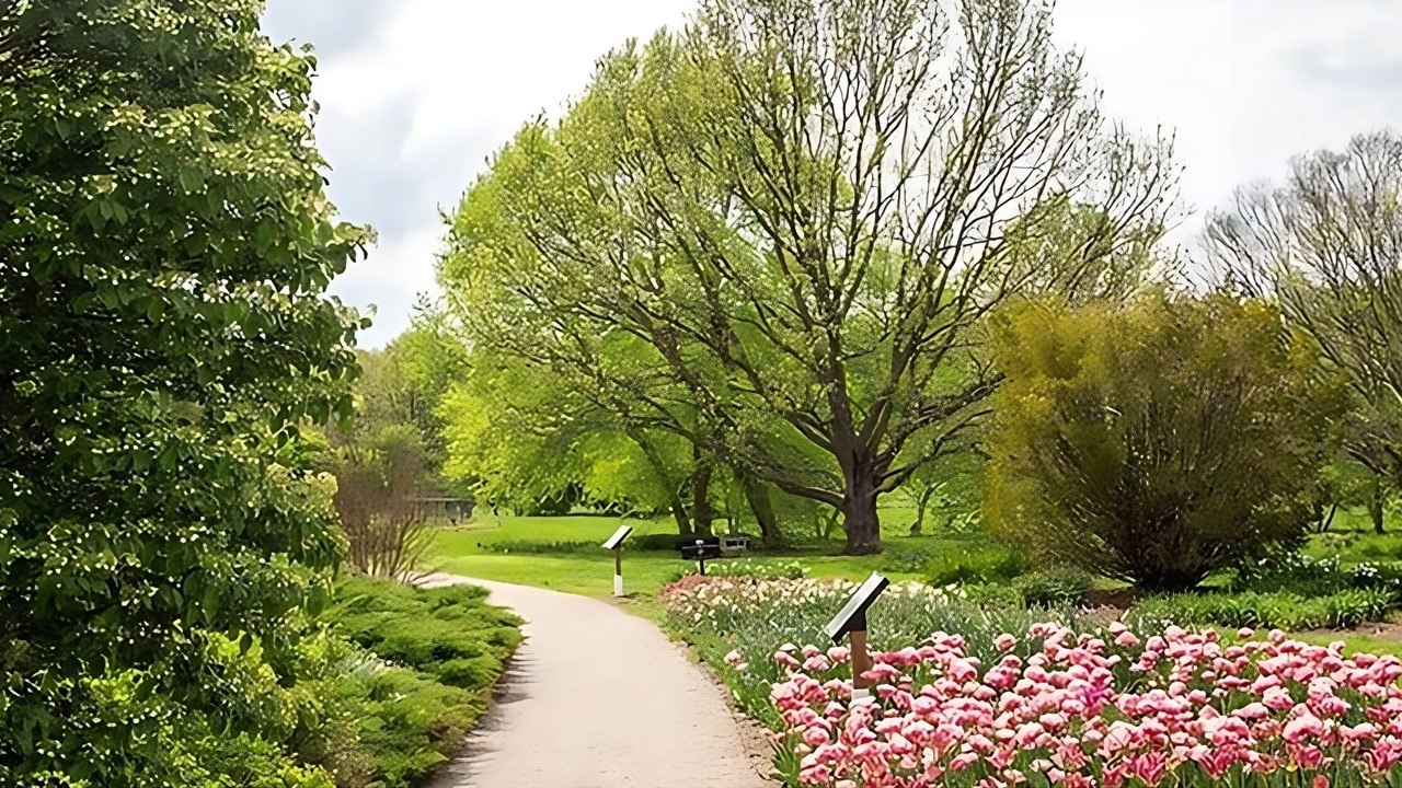 Photo of Outdoor in Lexington