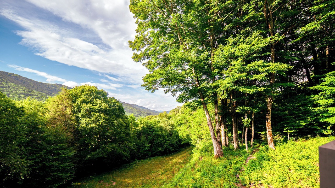Photo of Outdoor in Banner Elk