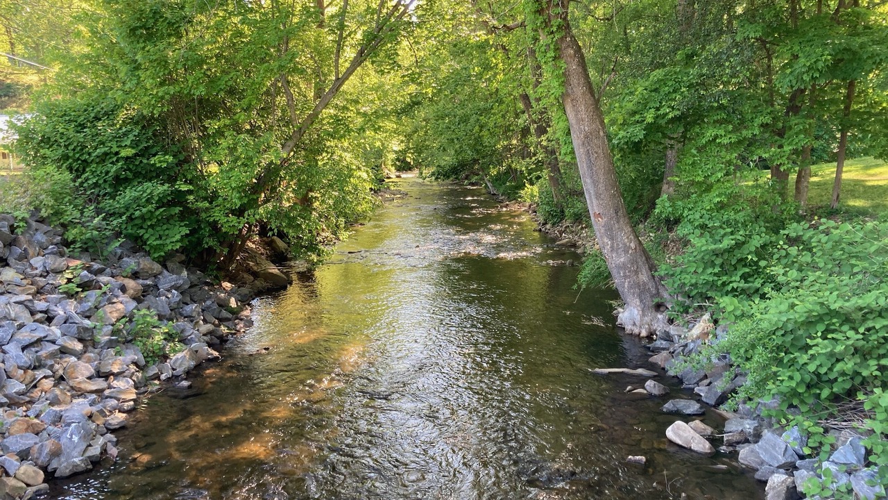 Photo of Outdoor in Barnardsville