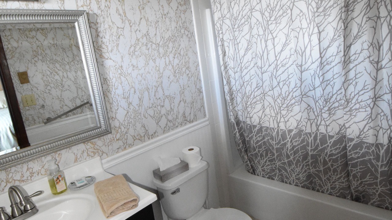Photo of Bathroom in Homer