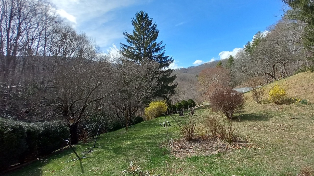 Photo of Others in Green Mountain