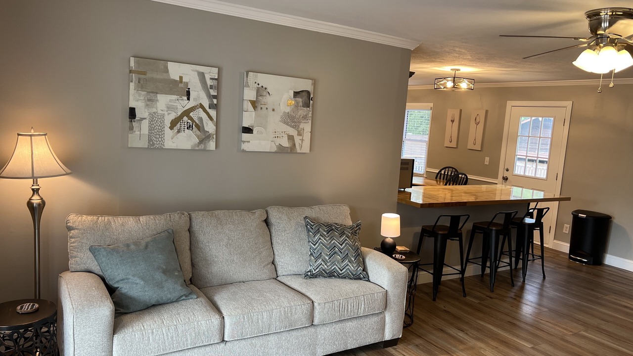 Photo of Livingroom in Asheville