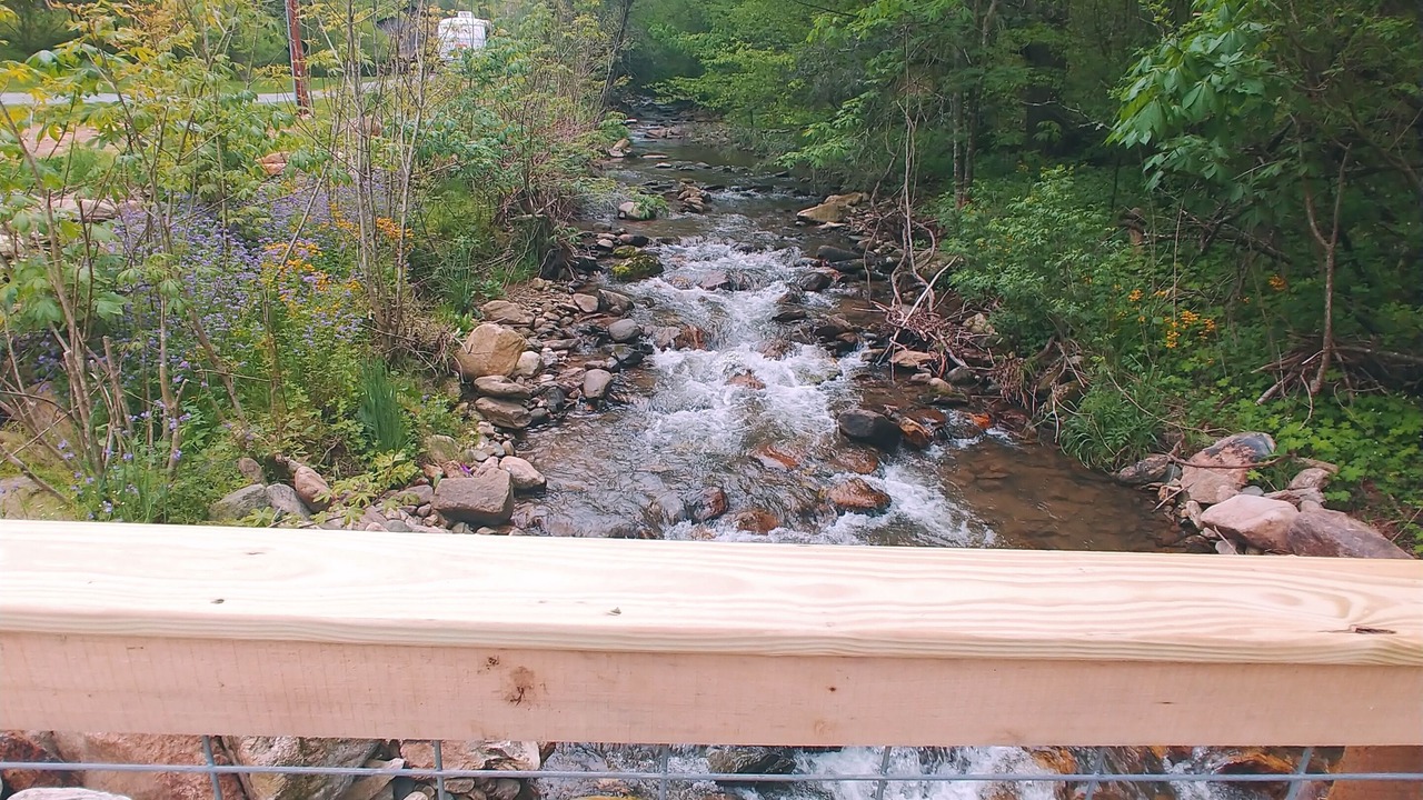 Photo of Outdoor in Flag Pond