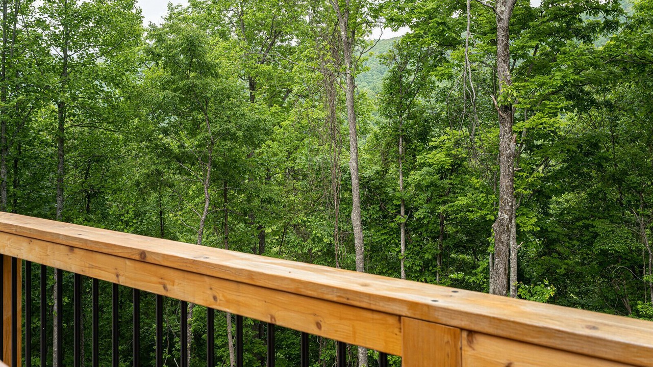 Photo of Others in Swannanoa