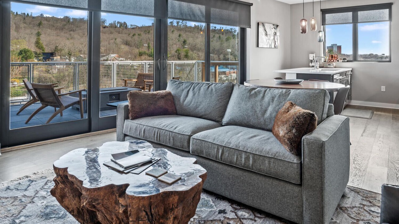 Photo of Livingroom in Downtown Asheville