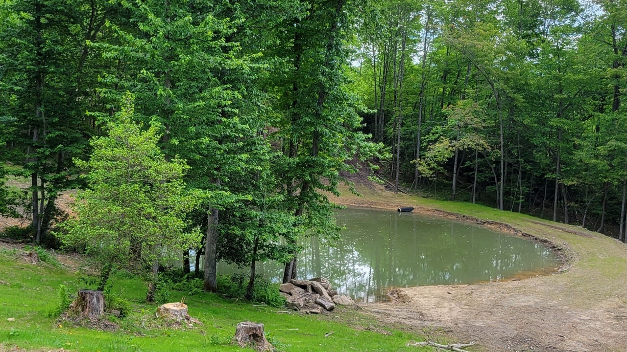 Photo of Others in French Creek