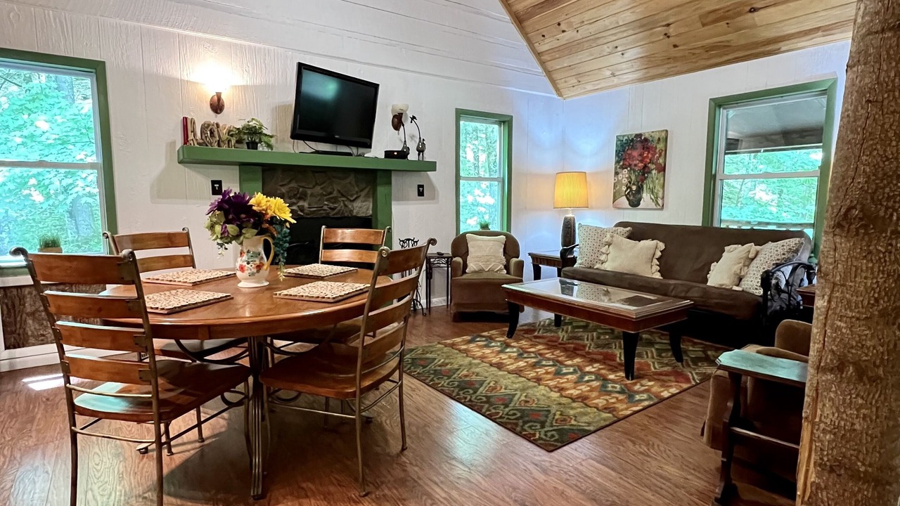 Photo of Livingroom in Roan Mountain