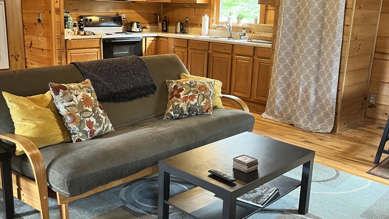 Photo of Livingroom in Roan Mountain