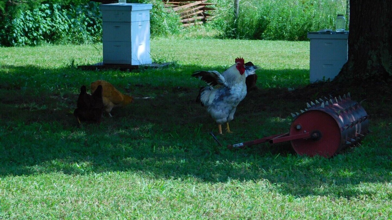Photo of Outdoor in Huddleston