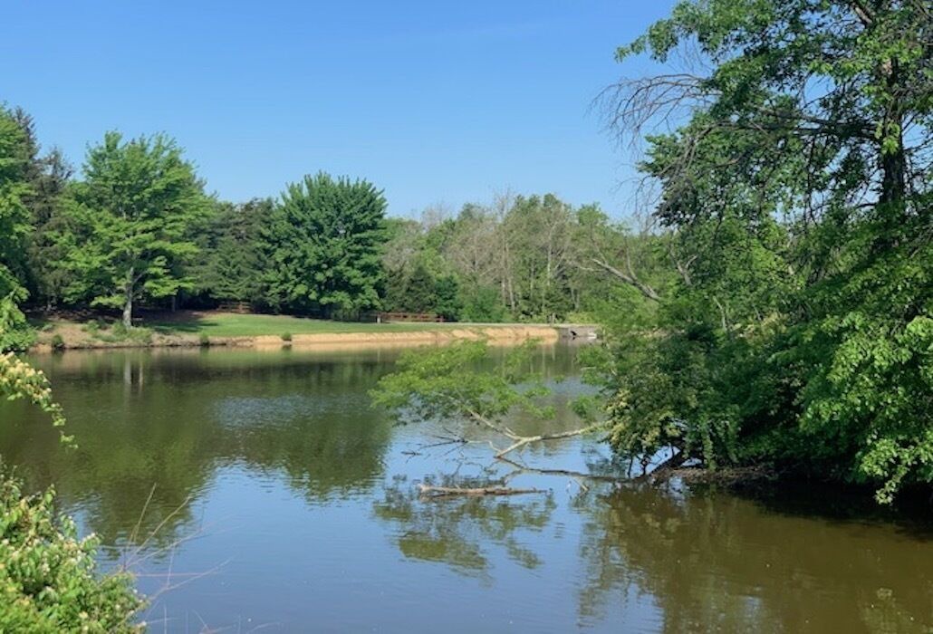 Photo of Outdoor in Hamersville