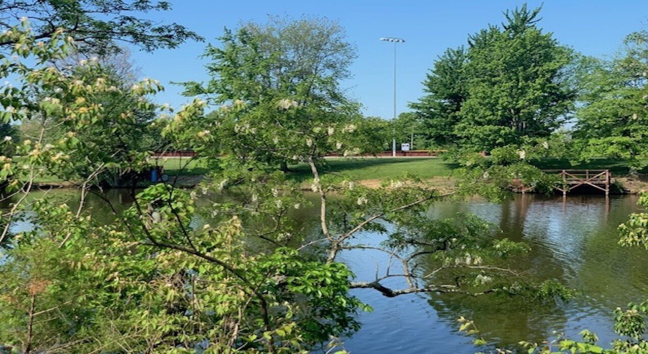 Photo of Outdoor in Hamersville