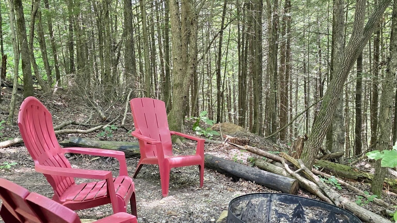 Photo of Others in Rogers