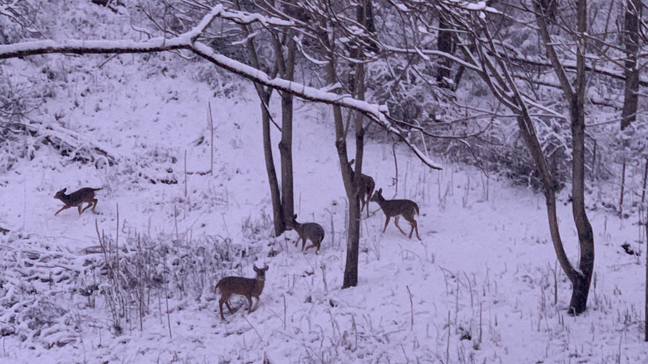 Photo of Others in Butler