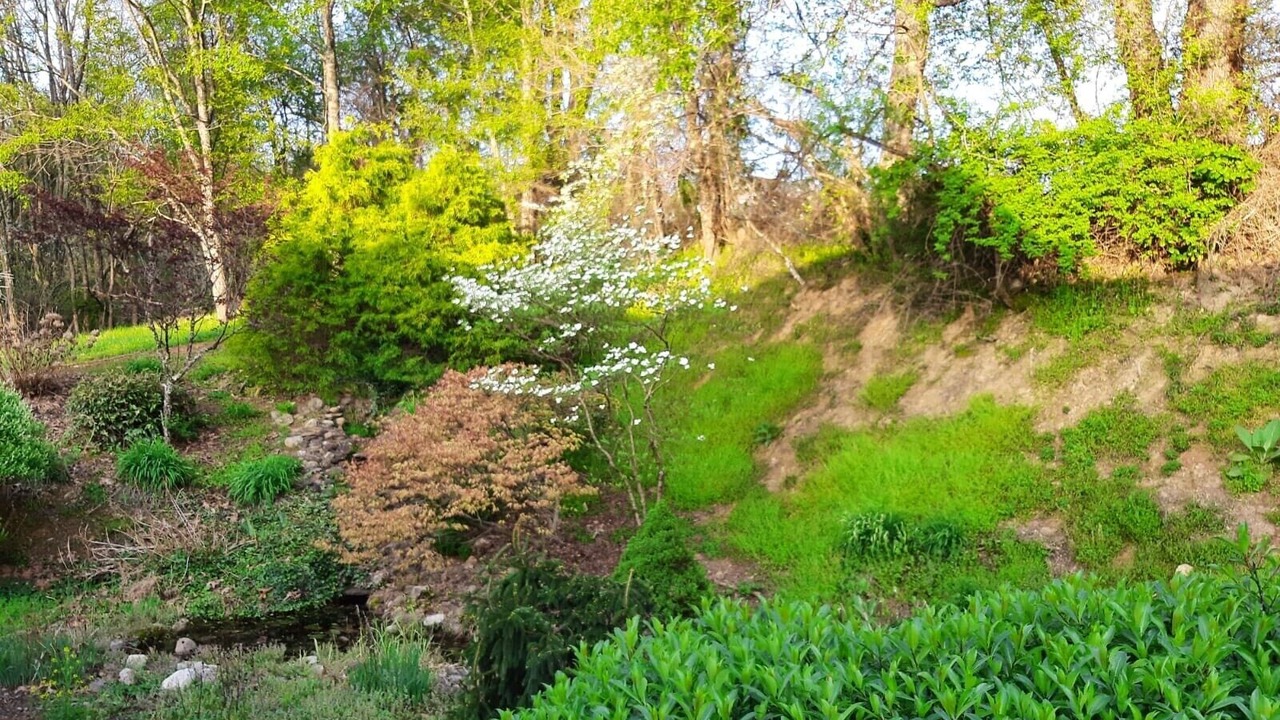 Photo of Outdoor in Butler