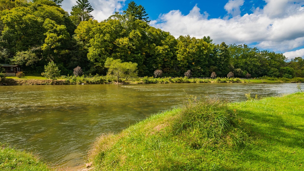 Photo of Others in Piney Creek