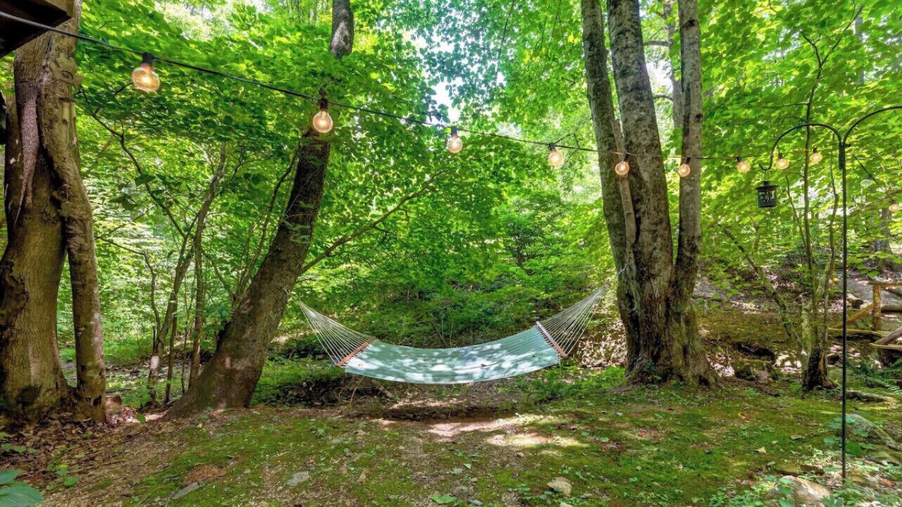 Photo of Outdoor in Roan Mountain