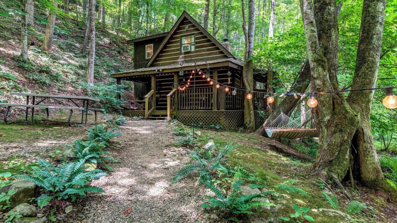 Photo of Outdoor in Roan Mountain