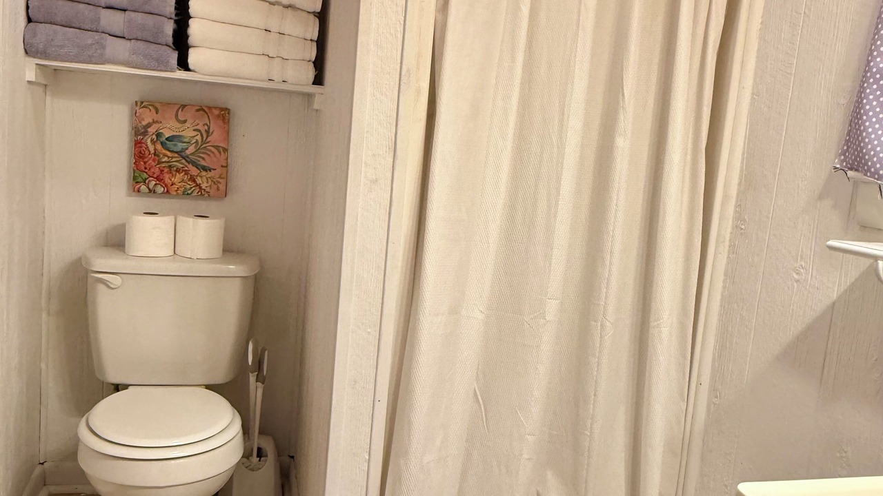 Photo of Bathroom in Roan Mountain