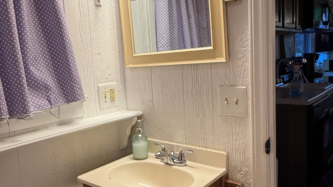 Photo of Bathroom in Roan Mountain