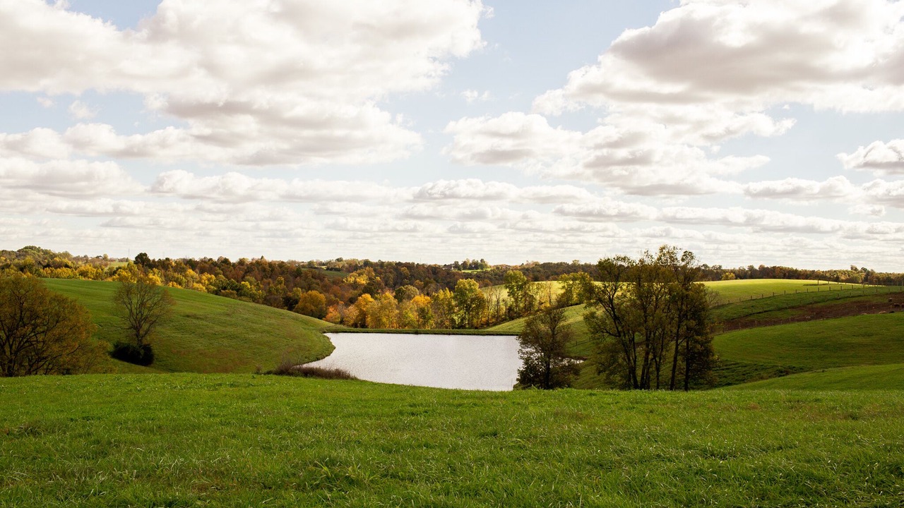 Photo of Outdoor in Williamstown