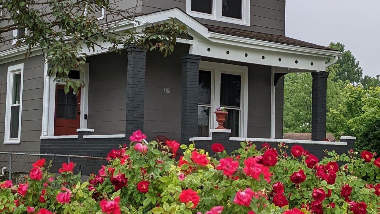 Photo of Outdoor in Arlington Heights